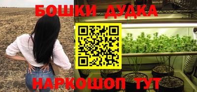 стафф Михайловка